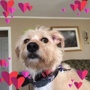 Meet your Posher, Deborah